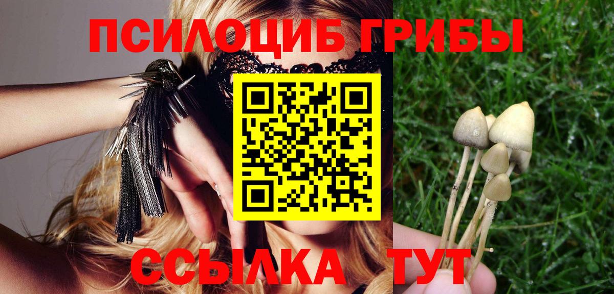 Псилоцибиновые грибы Magic Shrooms Красный Сулин