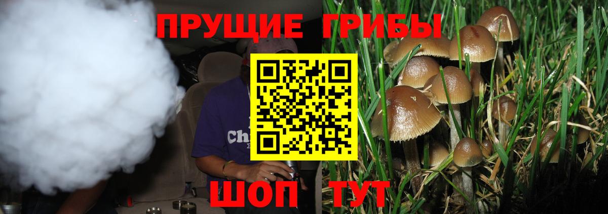 Красный Сулин  Псилоцибиновые грибы мицелий  Вход с VPN 